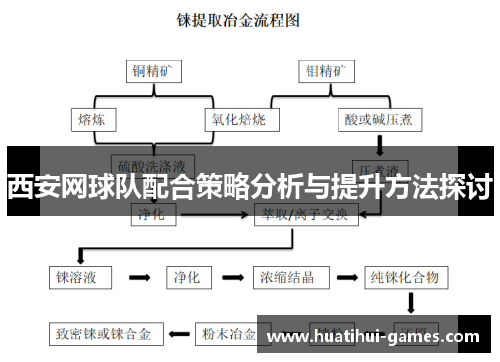 西安网球队配合策略分析与提升方法探讨